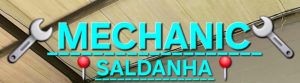 Mechanic Saldanha